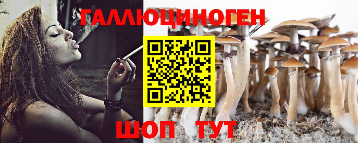 Галлюциногенные грибы MAGIC MUSHROOMS Людиново
