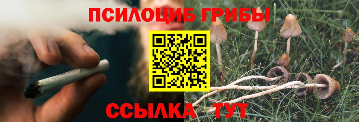 Людиново  Псилоцибиновые грибы GOLDEN TEACHER  цены наркотик  Вход с VPN 