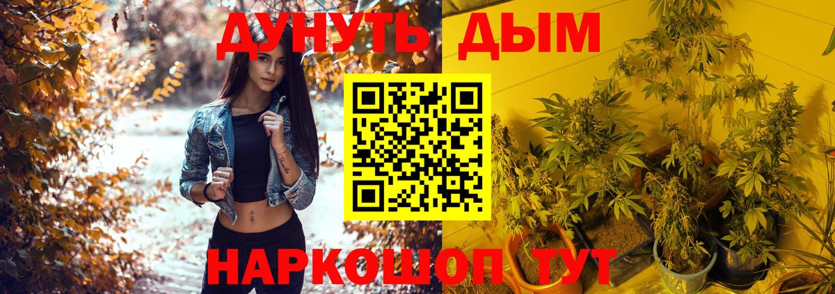 МАРИХУАНА план  Бошки марихуана Amnesia  Людиново  Вход с VPN  Бошки Шишки AK-47  Марихуана White Widow 